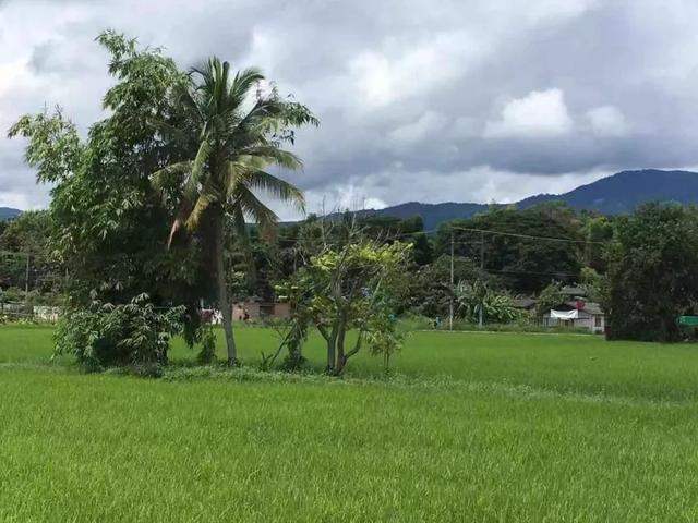 超越新加坡成为亲子最佳旅行地，这个慵懒的国外小城，溜娃旅行也可以轻松有趣