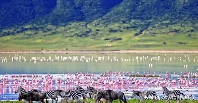 小住怡情，久住伤肾，“倾家荡产住一晚”的酒店了解一下