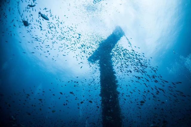 #文莱潜水考证团#去“吴尊”家乡探索神秘的海底世界
