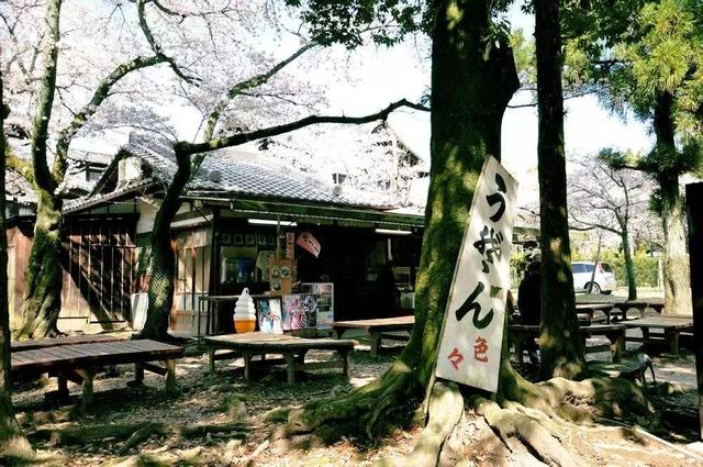 日本奈良如何从“穷乡下”逆袭成“日本旅游名片”？