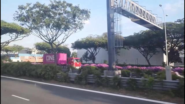 白天的新加坡确实是花园城市哦