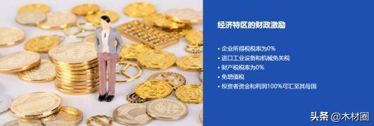 揭秘2019加蓬木业资源内部交流会水森部部长和中国木业商聊了啥？