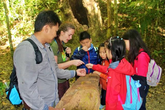 超越新加坡成为亲子最佳旅行地，这个慵懒的国外小城，溜娃旅行也可以轻松有趣