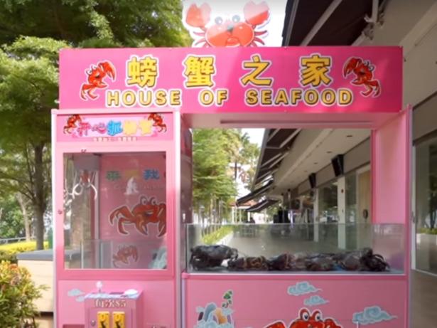 新加坡餐厅造“抓螃蟹机”走红，却被指玩弄动物，网友称太残忍