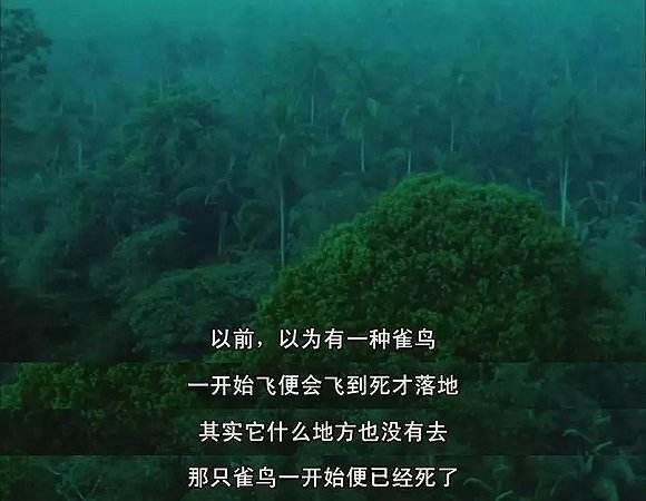 浅析王家卫的碎片式时间电影美学，那些影像之外封闭的香港人符号