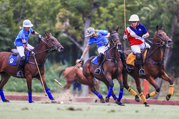 2019环亚女子马球公开赛暨1003 ROSE POLO CUP女子马球玫瑰杯落幕