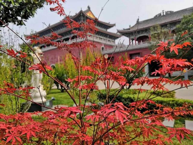 实力宠粉|凭西马参赛手环免费游楼观！