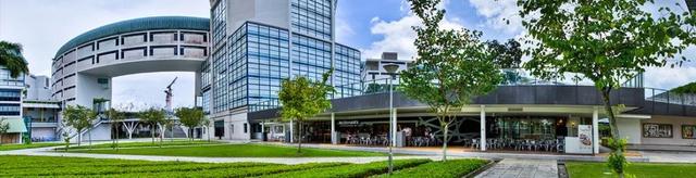 新加坡留学｜中学留学新加坡的多种途径以及注意事项