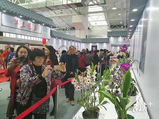 如何打造北部生态发展区高质量发展示范县？翁源交出这样的答卷｜韶观察