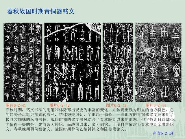 你不知道的汉字简史8000年：从贾湖刻符到黄帝书、鸟虫书、二简字