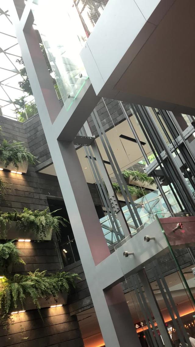 新加坡樟宜机场大楼