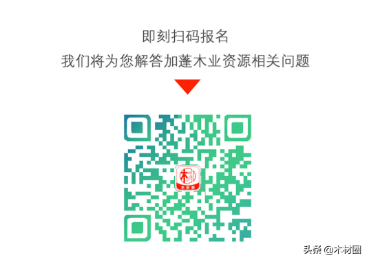 揭秘2019加蓬木业资源内部交流会水森部部长和中国木业商聊了啥？