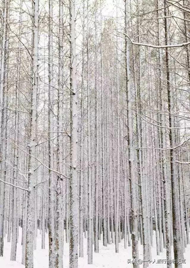 美不输过青岛！和厦门一样浪漫！这座中国海滨老城可以去看看