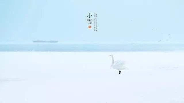 人均200+！把云朵搬进玻璃房的莫干山民宿颜值爆表