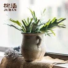 网红Ins北欧风植物，带你入坑