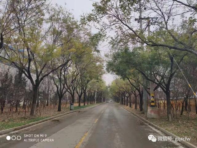 国庆人才需求 2019.11.17