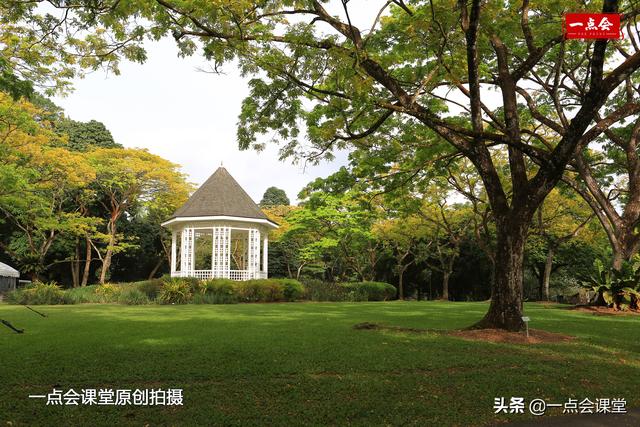 新加坡植物园里的胡姬花园周边别有洞天