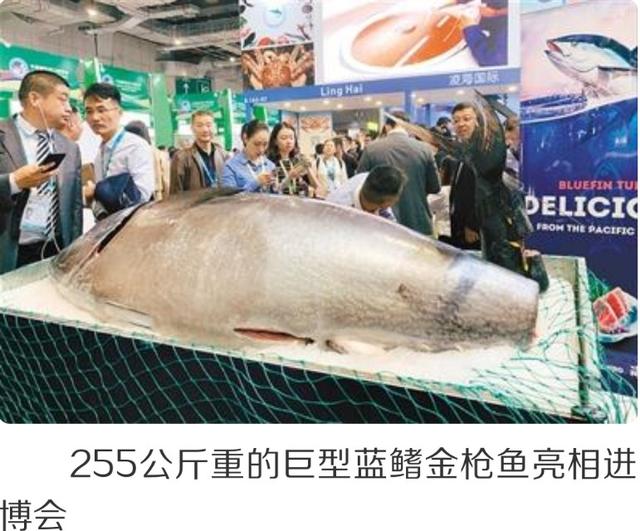 舌尖上的进博会
不出场馆就能品尝全球美食