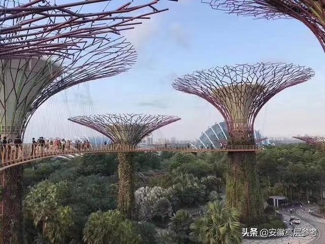 著名的“空中走廊”，漫步走廊可以从高处俯瞰整个滨海湾区美景。