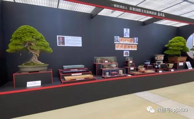 日本第二大盆景盛会来了……