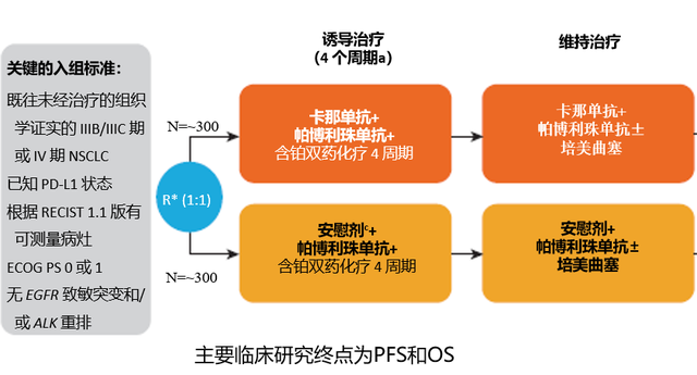 「诺华肿瘤CANA学院」2019 ESMO ASIA 重磅研究设计报道 | 晚期肺癌一线新疗法-卡那奴单抗或成新型重磅药