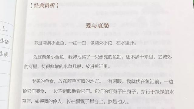 别让低层次的阅读，毁了孩子的学习！《丁立梅的阅读课》带你高效阅读