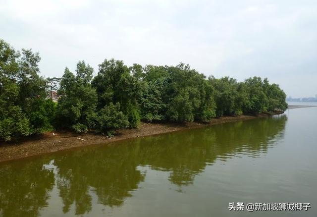 新加坡新地铁站来啦，全岛地铁线重大变化