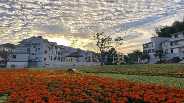 中新商会艺术交流、蚁巢艺术馆开馆、雕塑园开园、高校学生写生基地签约……淳安县梓桐镇艺术助力乡村振兴