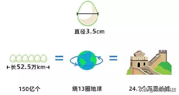 支付宝的这些大项目我都参加了，我骄傲了吗？