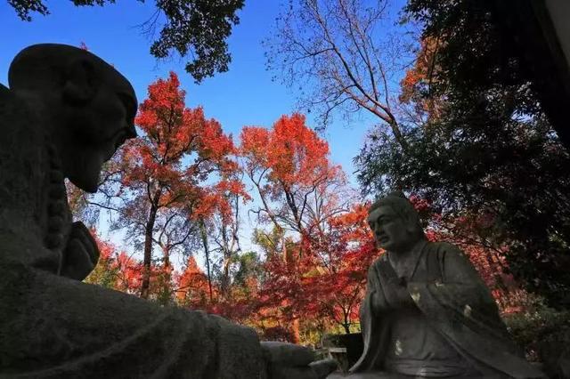 今年的栖霞山不只是红叶 还有一张蓝图徐徐展开……