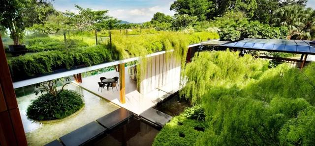 看完新加坡的别墅，才知道为什么新加坡叫花园城市｜别墅设计