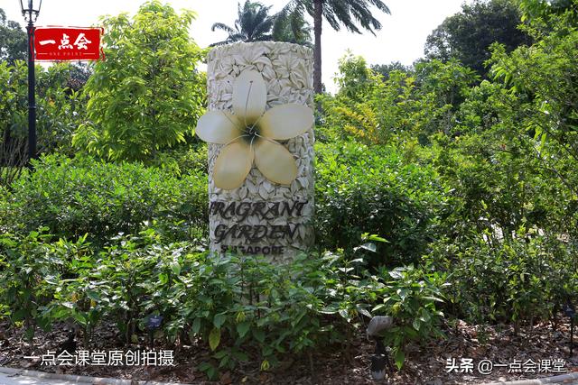 新加坡植物园一条通往花园的小路，一步一景，目不暇接