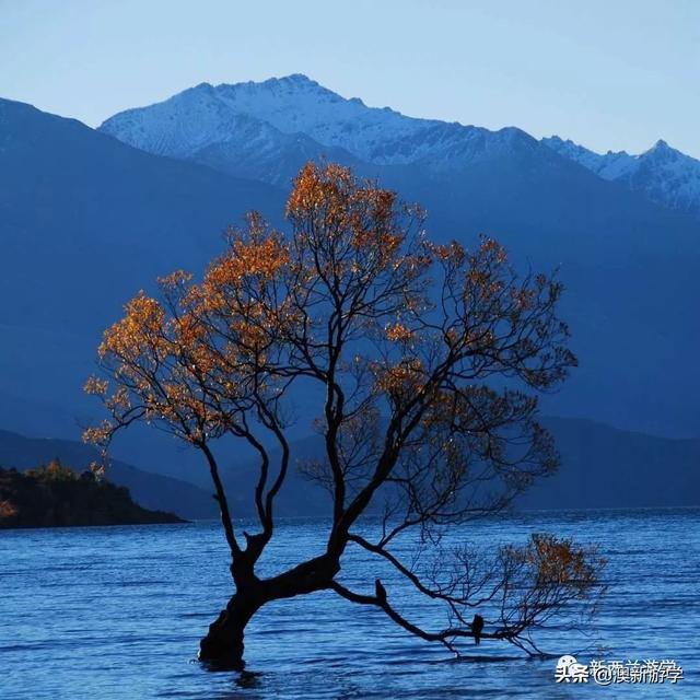 新西兰南北岛两周旅游经典线路