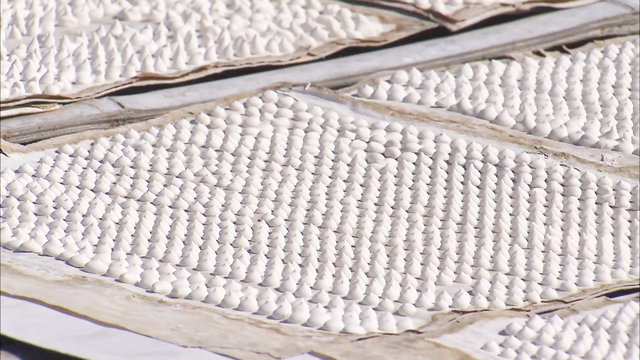 新加坡旅游综艺《自由脚步》槟城002：水粉&小云顶