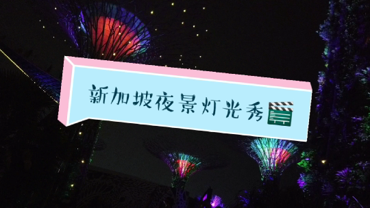 新加坡夜景灯光秀看过吗？
