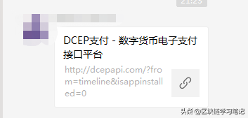 DCEP-数字货币电子支付接口平台，山寨还是正规？