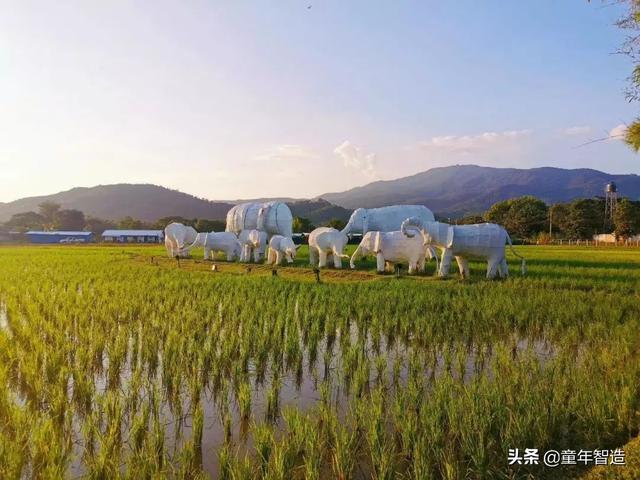 我终于知道为什么那么多妈妈把孩子送到清迈去上学了