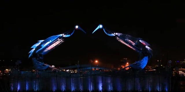 新加坡圣淘沙免费表演“仙鹤芭蕾”