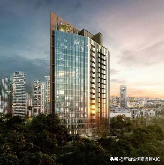 ​新加坡里峇峇利路上的时尚之星——The Iveria 公寓