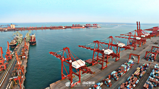 解码活力日照：向开放要潜力 世界500强企业“相中”日照