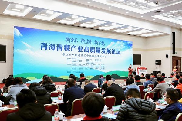 青海青稞产业发展提速 培育高原脱贫“金种子”