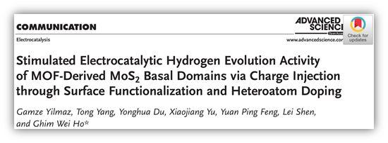 Adv. Sci.由内而外的调控，增强MOF衍生的MoS2的电催化析氢活性