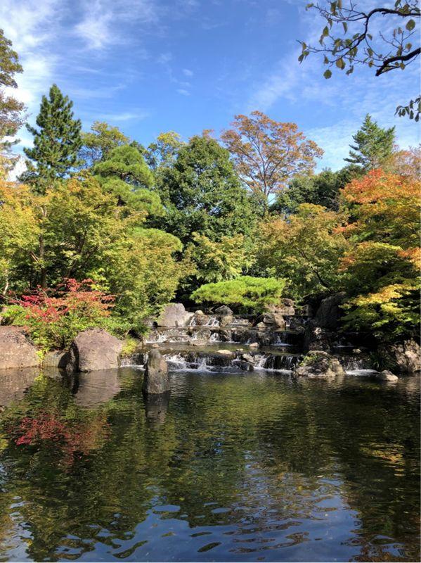 广州首次！日本国宝级大师出手，造天河顶豪园林