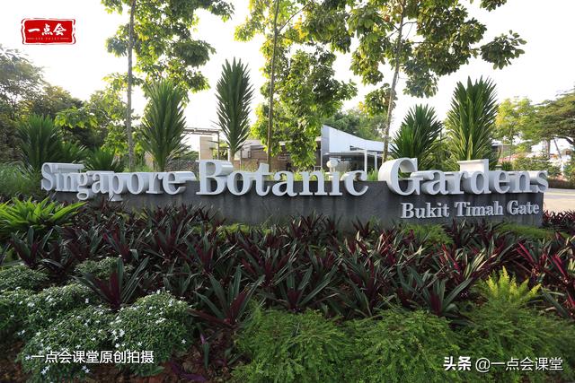 新加坡植物园太大了，一进门就美景如画，视野开阔