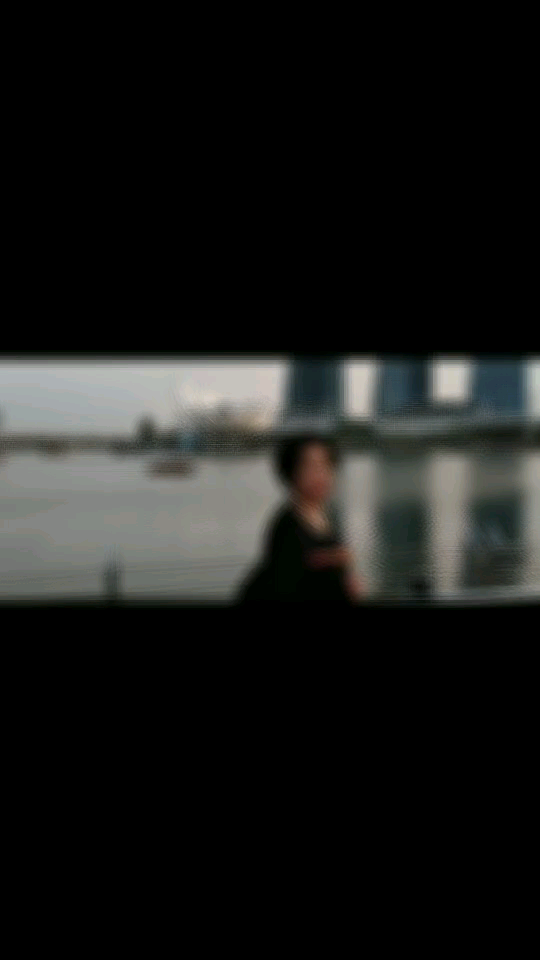 新加坡，印度尼西亚之行，记录君哥二人世界，夕阳无限好…