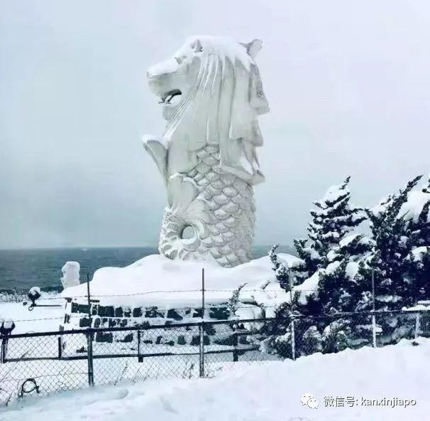 冬天到！在赤道旁的新加坡我们被冻傻了......