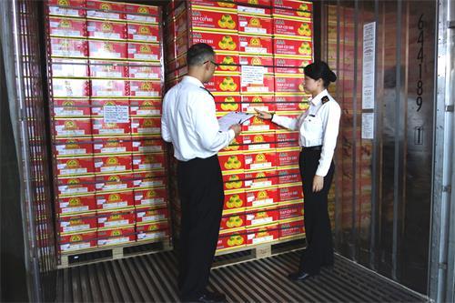 广州海关首批鲜柿子成功出口加拿大