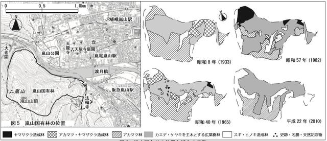 红了的枫叶，开启旅游经济新方式