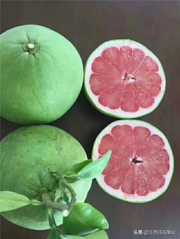 柚子中的极品——泰国红宝石青柚、未来柚类高端品种