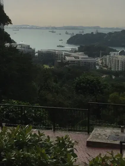 新加坡所见